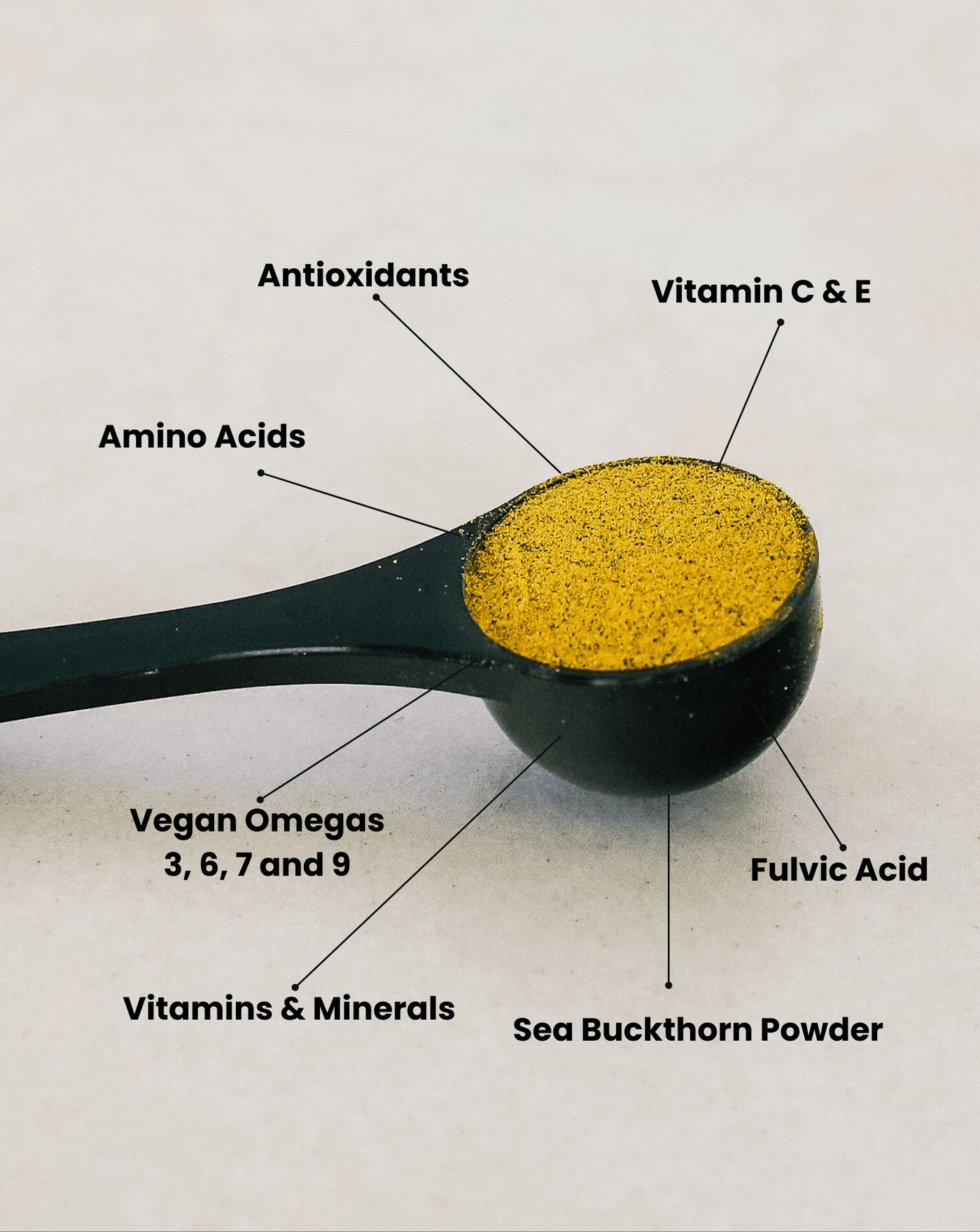 30 - Day Detox Supplement - Mudorganics